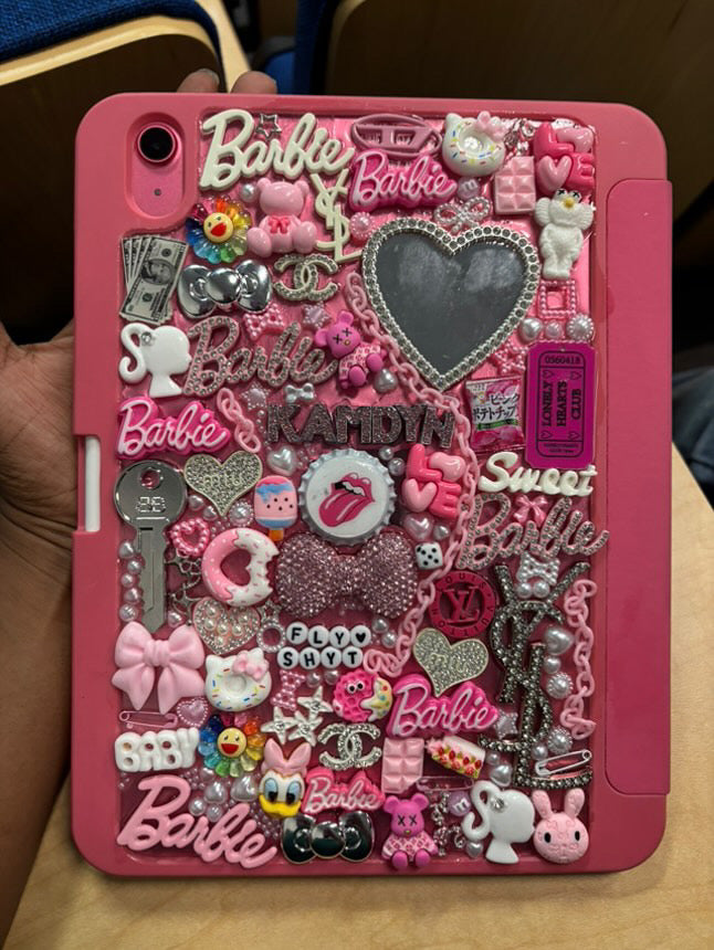 Junk IPad Case⭐️